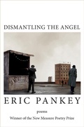Cover: Dismantling the Angel - Parlor Press, LLC