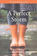 Cover: A Perfect Storm - Sarah Nelson