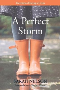 Enlarge image Cover: A Perfect Storm - Sarah Nelson