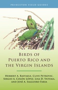 Bild: Birds of Puerto Rico and the Virgin Islands - Princeton University Press