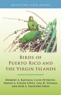 Abbildung von: Birds of Puerto Rico and the Virgin Islands - Princeton University Press