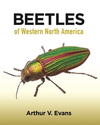 Abbildung von: Beetles of Western North America - Princeton University Press