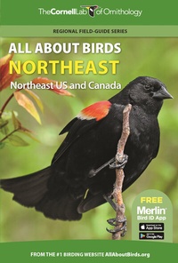 Abbildung von: All About Birds Northeast - Princeton University Press