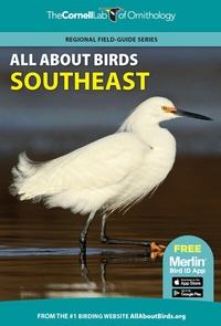Abbildung von: All About Birds Southeast - Princeton University Press