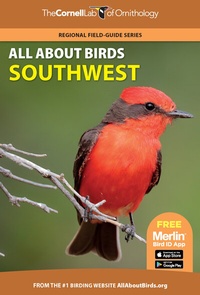 Abbildung von: All About Birds Southwest - Princeton University Press