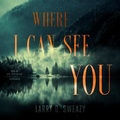 Cover: Where I Can See You - Blackstone Publishing