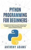 Cover: Python Programming for Beginners - Big Book Ltd