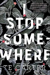 Abbildung von: I Stop Somewhere - Turtleback