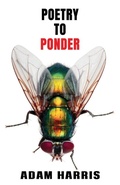 Cover: Poetry to Ponder - Michael Terence Publishing