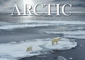 Cover: Arctic - Amber Books