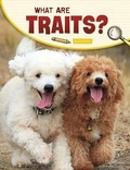Cover: What Are Traits? - Pebble Books