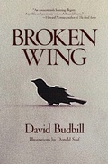 Cover: Broken Wing - Simon + Schuster LLC