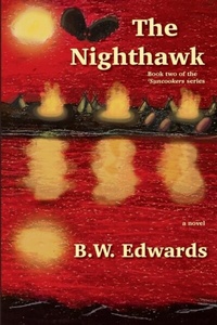 Abbildung von: The Nighthawk - Suncookers