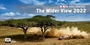 Cover: McKlein Rally 2022 - The Wider View - McKlein Publishing