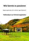 Cover: Wie konnte es passieren - Shaker Media