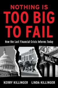 Abbildung von: Nothing Is Too Big to Fail - RosettaBooks