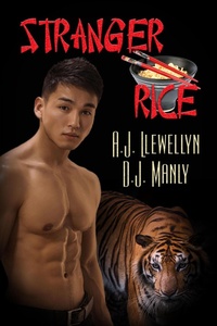 Enlarge image Cover: Stranger Rice - eXtasy Books Inc
