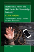 Cover: Professional Power and Skill Use in the 'Knowledge Economy' - Brill