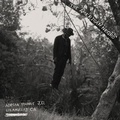 Cover: The American Negro - 375 Media GmbH