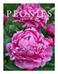 Cover: Peonies - White Hopton Publications