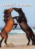 Cover: Kismet and Karma: The Black Glen 2 - Llanerch Press