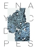 Cover: Verena Freyschmidt - Verlag Kettler