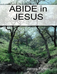 Abbildung von: Abide in Jesus - Lulu.com