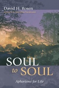 Cover: Soul to Soul - Wipf and Stock Publishers
