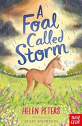 Cover: A Foal Called Storm - Nosy Crow Ltd