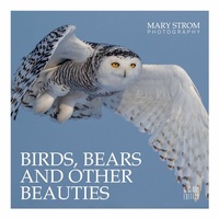 Abbildung von: Birds, Bears and other Beauties - BoD - Books on Demand