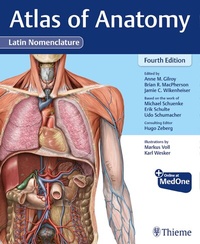 Abbildung von: Atlas of Anatomy, Latin Nomenclature - Thieme Publishers