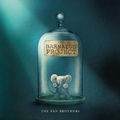 Cover: The Barnabus Project - Frances Lincoln Children's Books
