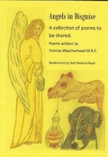 Cover: Angels in Disguise - Weatherhead Projects Ltd