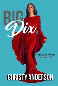 Cover: Big Dix (A Book Club Novella, #3) - Christy Anderson