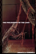 Cover: The Philosophy of the Limit - Routledge