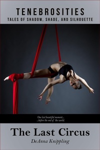 Enlarge image Cover: The Last Circus - Wonderland Press