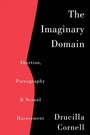 Cover: The Imaginary Domain - Routledge