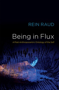 Enlarge image Cover: Being in Flux - Wiley
