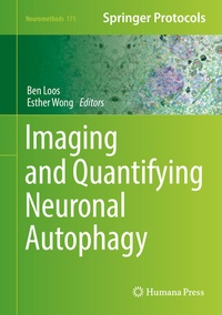 Abbildung von: Imaging and Quantifying Neuronal Autophagy - Humana