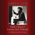 Cover: Said I Wasn't Gonna Tell Nobody - HighBridge Audio