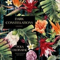 Cover: Dark Constellations - HighBridge Audio