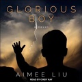 Cover: Glorious Boy - Tantor Audio