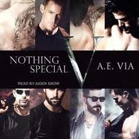 Abbildung von: Nothing Special V - Tantor Audio
