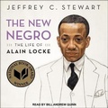 Cover: The New Negro - Tantor Audio