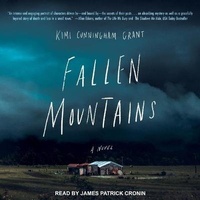 Enlarge image Cover: Fallen Mountains - Tantor Audio