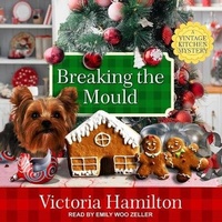 Enlarge image Cover: Breaking the Mould - Tantor Audio