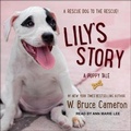 Cover: Lily's Story - Tantor Audio