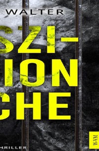 Enlarge image Cover: Faszination Rache - epubli