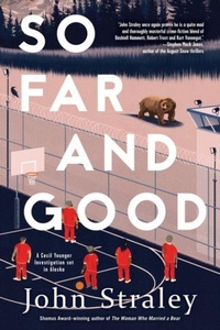 Enlarge image Cover: So Far and Good - Soho Press
