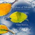 Cover: Colour of Silence - Happy London Press Physical Books